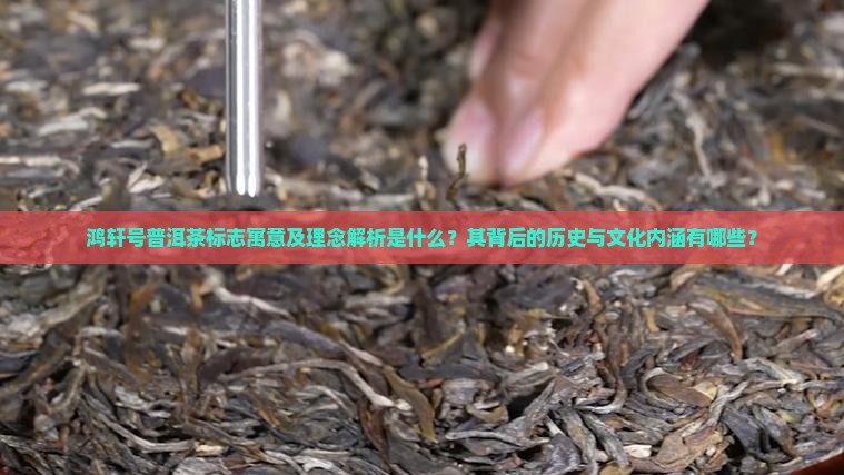 鸿轩号普洱茶标志寓意及理念解析是什么？其背后的历史与文化内涵有哪些？