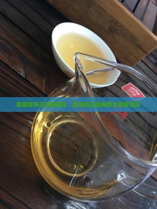 老班章得天独厚茶叶，品味纯正经典原生态普洱茶