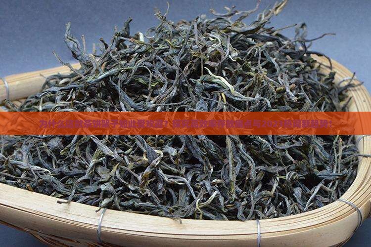 为什么这款茶饼架子如此受欢迎？探究高效率存放痛点与2023热词新趋势！