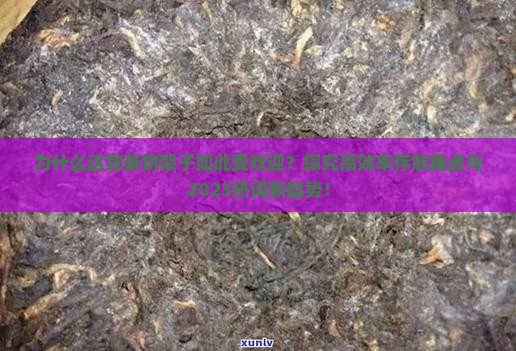 为什么这款茶饼架子如此受欢迎？探究高效率存放痛点与2023热词新趋势！