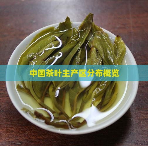 中国茶叶主产区分布概览