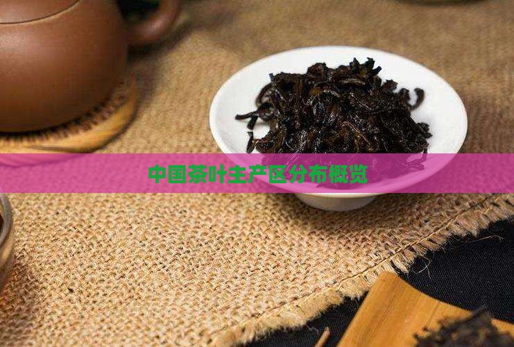 中国茶叶主产区分布概览