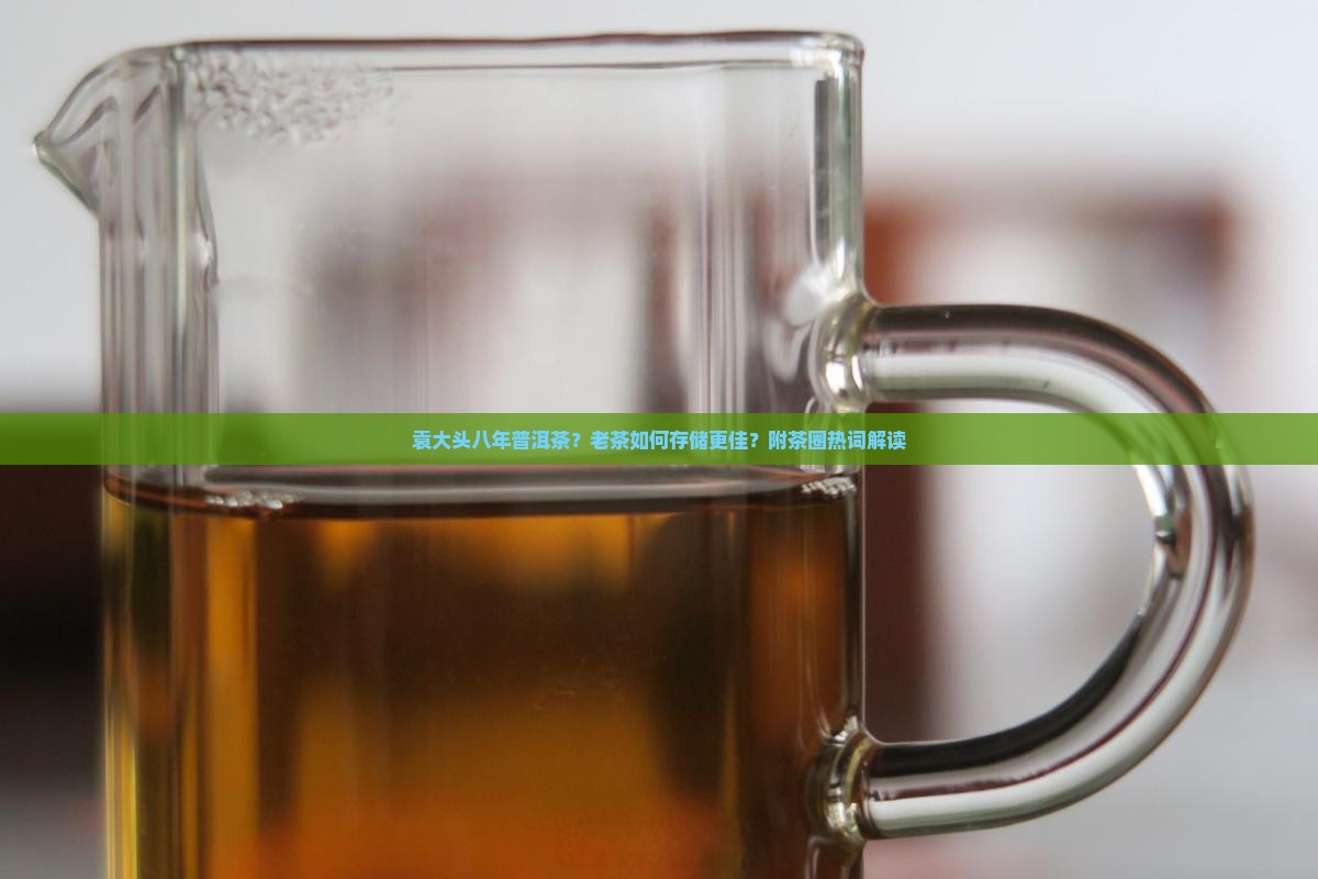 袁大头八年普洱茶？老茶如何存储更佳？附茶圈热词解读