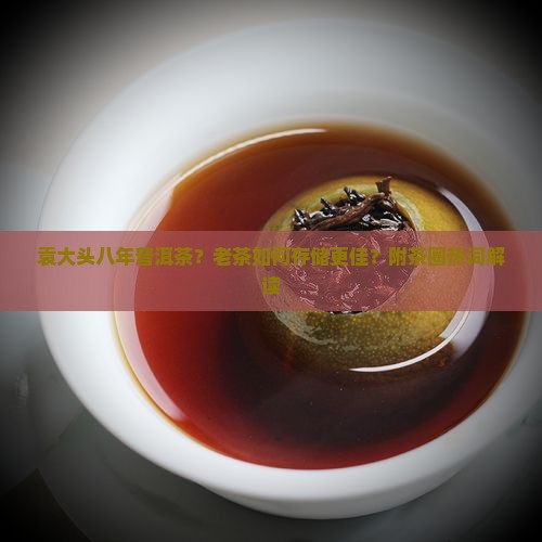 袁大头八年普洱茶？老茶如何存储更佳？附茶圈热词解读