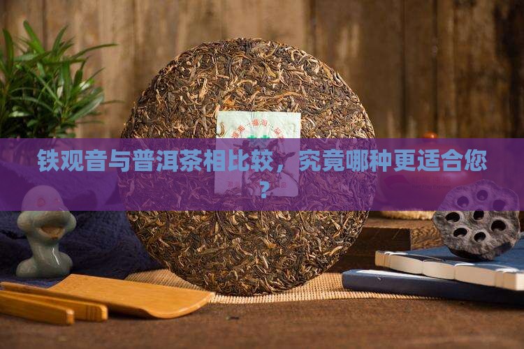 铁观音与普洱茶相比较，究竟哪种更适合您？
