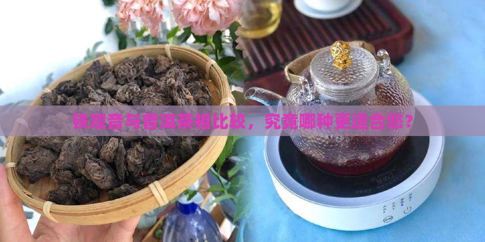铁观音与普洱茶相比较，究竟哪种更适合您？