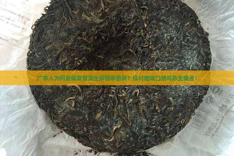 广东人为何更偏爱普洱生茶而非熟茶？探讨地域口感与养生痛点！