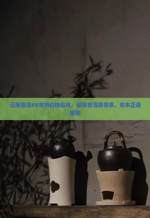 云南普洱88青饼价格信息，探寻普洱茶茗茶，京东正品推荐