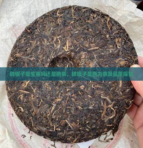 碎银子是生茶吗还是熟茶，碎银子是否为茶及品质探究