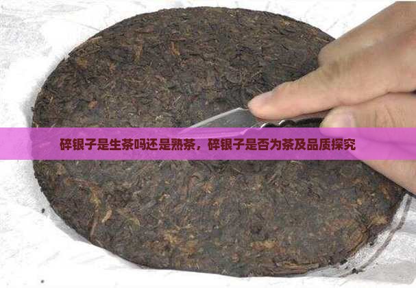 碎银子是生茶吗还是熟茶，碎银子是否为茶及品质探究