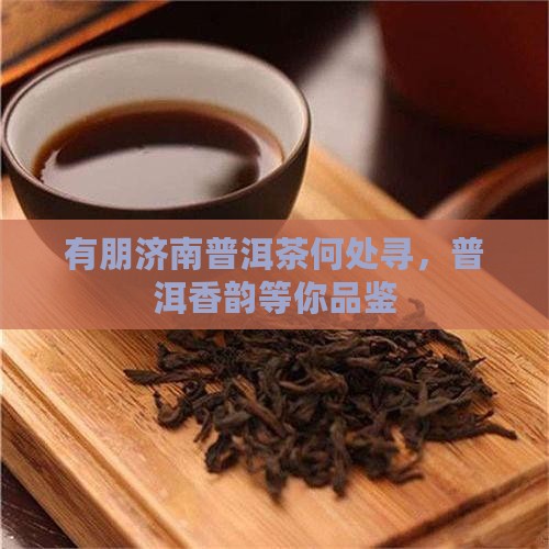 有朋济南普洱茶何处寻，普洱香韵等你品鉴