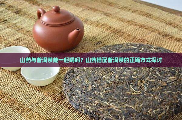 山药与普洱茶能一起喝吗？山药搭配普洱茶的正确方式探讨
