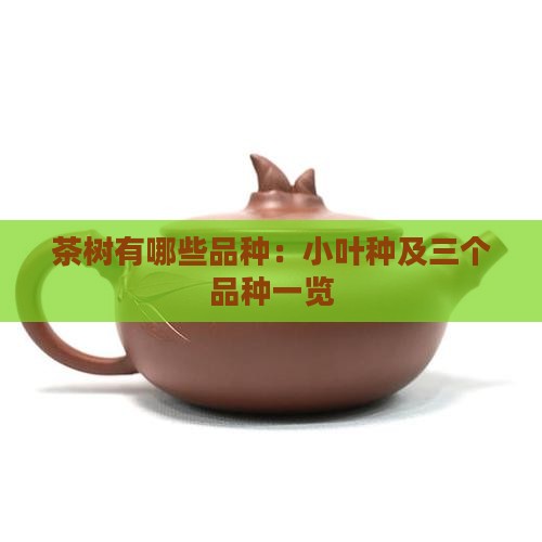 茶树有哪些品种：小叶种及三个品种一览