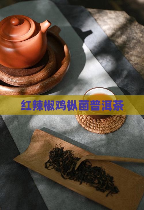红辣椒鸡枞菌普洱茶