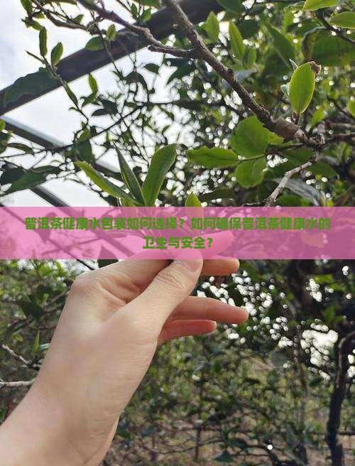 普洱茶健康水包装如何选择？如何确保普洱茶健康水的卫生与安全？