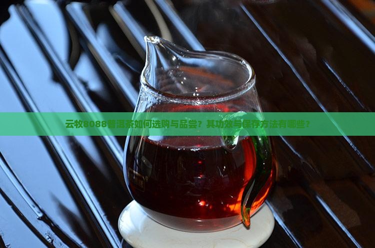 云牧8088普洱茶如何选购与品尝？其功效与保存方法有哪些？
