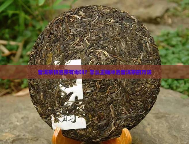 普洱茶饼泡茶有毒吗？怎么正确冲泡普洱茶的方法