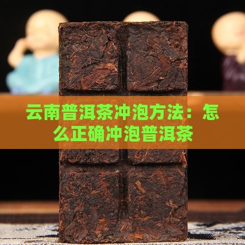 云南普洱茶冲泡方法：怎么正确冲泡普洱茶
