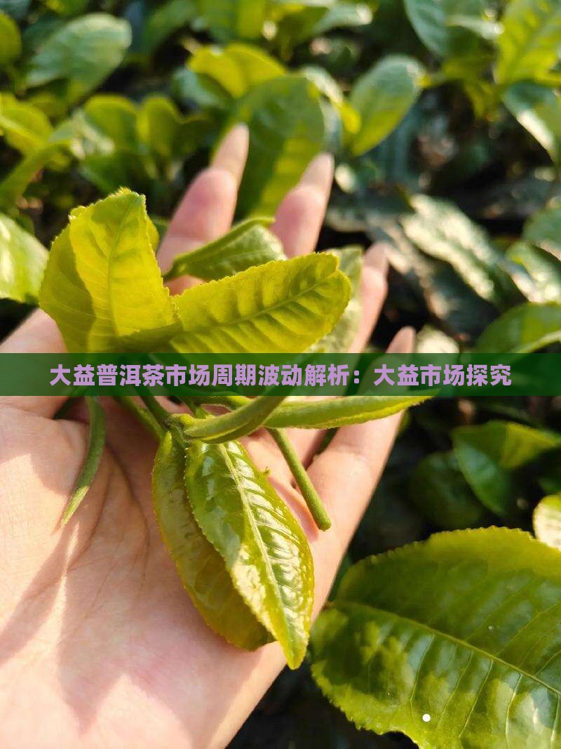 大益普洱茶市场周期波动解析：大益市场探究
