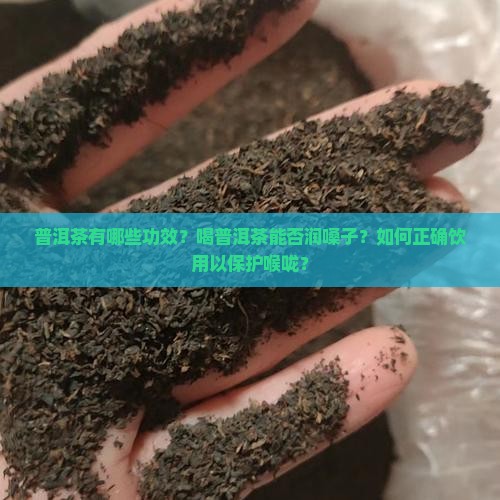 普洱茶有哪些功效？喝普洱茶能否润嗓子？如何正确饮用以保护喉咙？