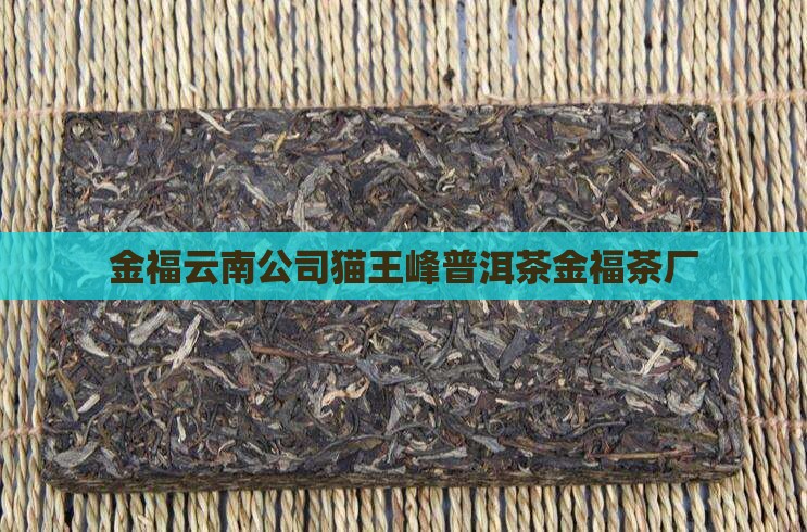 金福云南公司猫王峰普洱茶金福茶厂