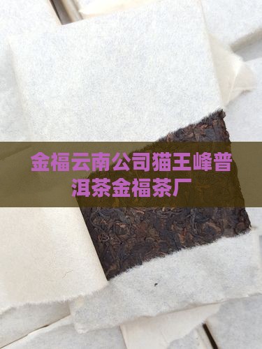 金福云南公司猫王峰普洱茶金福茶厂