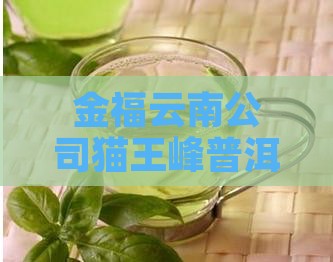 金福云南公司猫王峰普洱茶金福茶厂