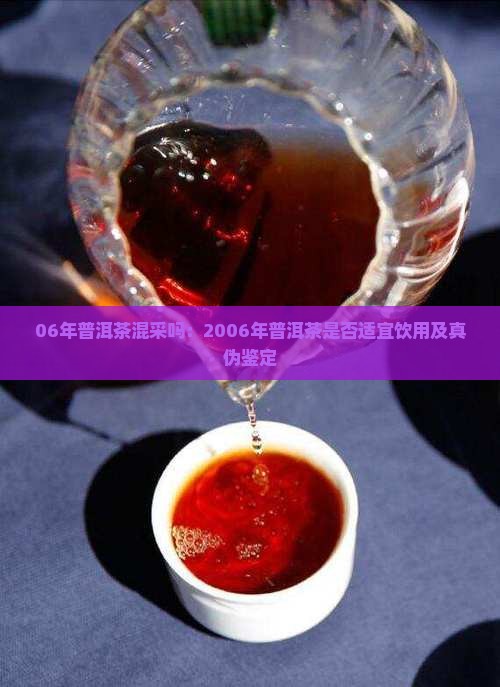06年普洱茶混采吗：2006年普洱茶是否适宜饮用及真伪鉴定