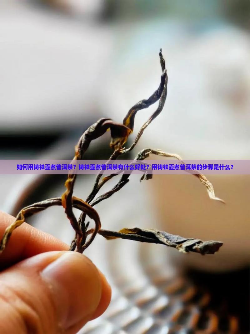 如何用铸铁壶煮普洱茶？铸铁壶煮普洱茶有什么好处？用铸铁壶煮普洱茶的步骤是什么？