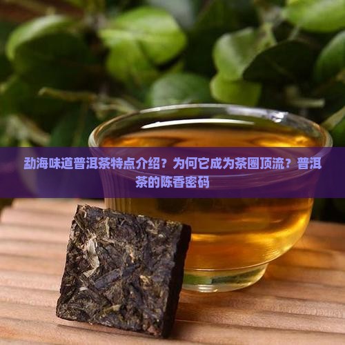 勐海味道普洱茶特点介绍？为何它成为茶圈顶流？普洱茶的陈香密码