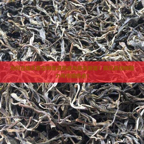 为何古地天恩古树普洱茶成为茶友新宠？探究其独特魅力与市场热点！