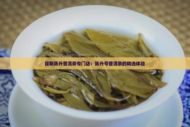 昆明陈升普洱茶专门店：陈升号普洱茶的精选体验