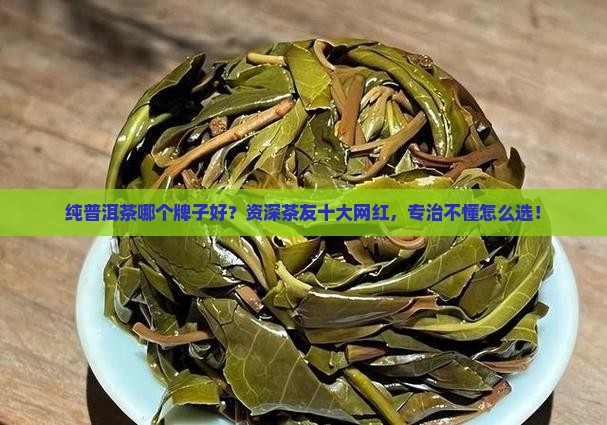 纯普洱茶哪个牌子好？资深茶友十大网红，专治不懂怎么选！