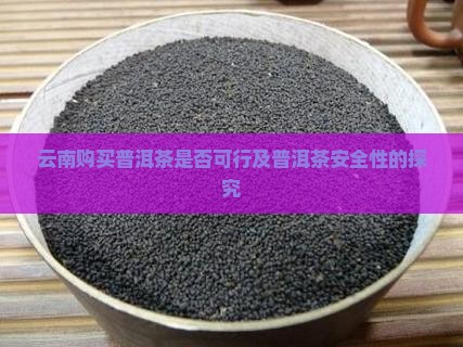 云南购买普洱茶是否可行及普洱茶安全性的探究