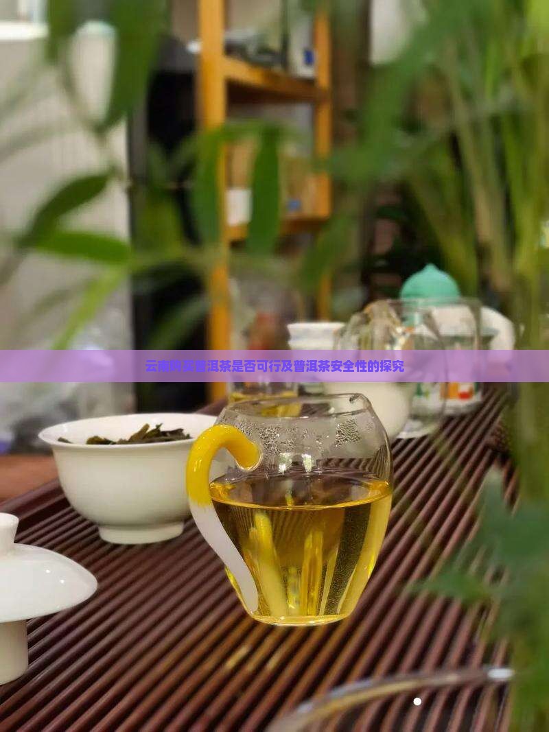 云南购买普洱茶是否可行及普洱茶安全性的探究