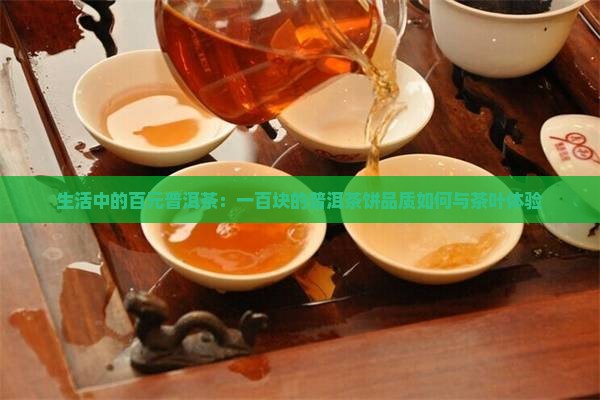 生活中的百元普洱茶：一百块的普洱茶饼品质如何与茶叶体验