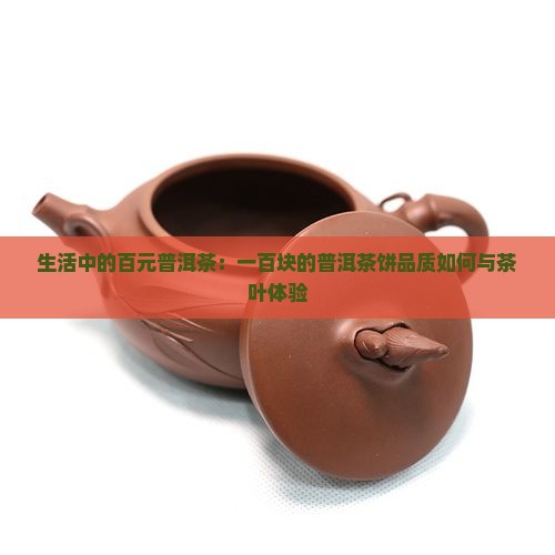生活中的百元普洱茶：一百块的普洱茶饼品质如何与茶叶体验
