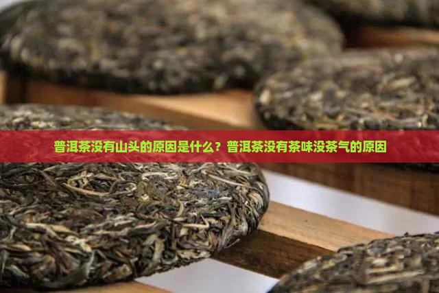普洱茶没有山头的原因是什么？普洱茶没有茶味没茶气的原因
