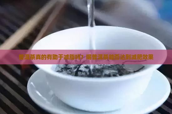 普洱茶真的有助于减脂吗？喝普洱茶能否达到减肥效果