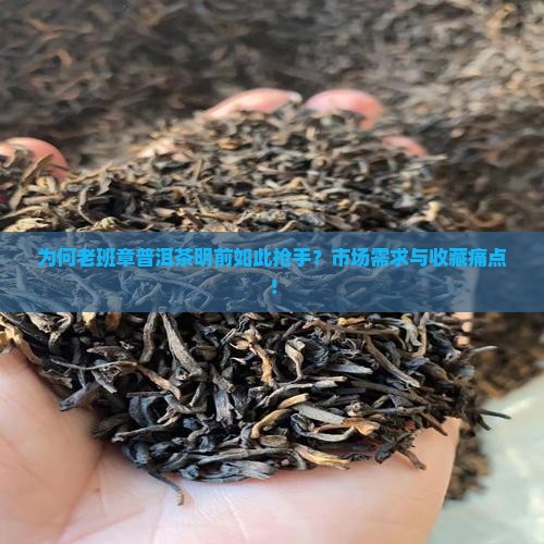 为何老班章普洱茶明前如此抢手？市场需求与收藏痛点！
