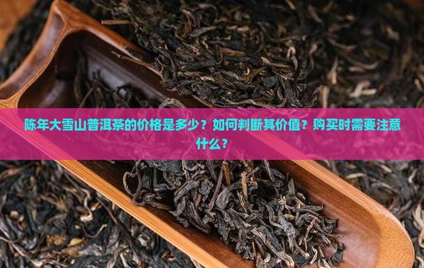 陈年大雪山普洱茶的价格是多少？如何判断其价值？购买时需要注意什么？