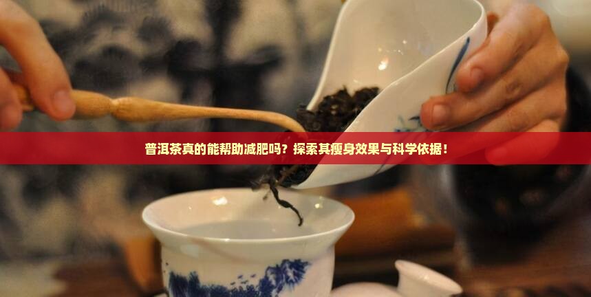 普洱茶真的能帮助减肥吗？探索其瘦身效果与科学依据！
