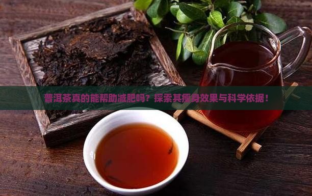 普洱茶真的能帮助减肥吗？探索其瘦身效果与科学依据！