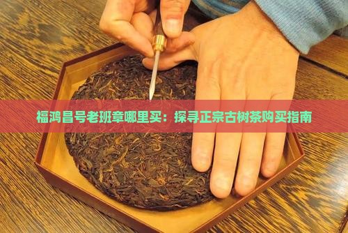 福鸿昌号老班章哪里买：探寻正宗古树茶购买指南