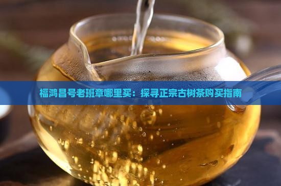 福鸿昌号老班章哪里买：探寻正宗古树茶购买指南