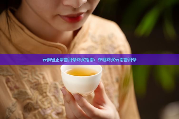 云南省正宗普洱茶购买指南：在哪购买云南普洱茶