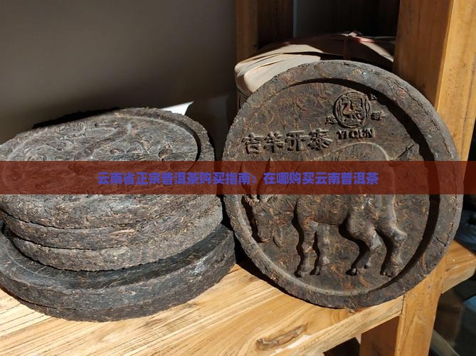 云南省正宗普洱茶购买指南：在哪购买云南普洱茶