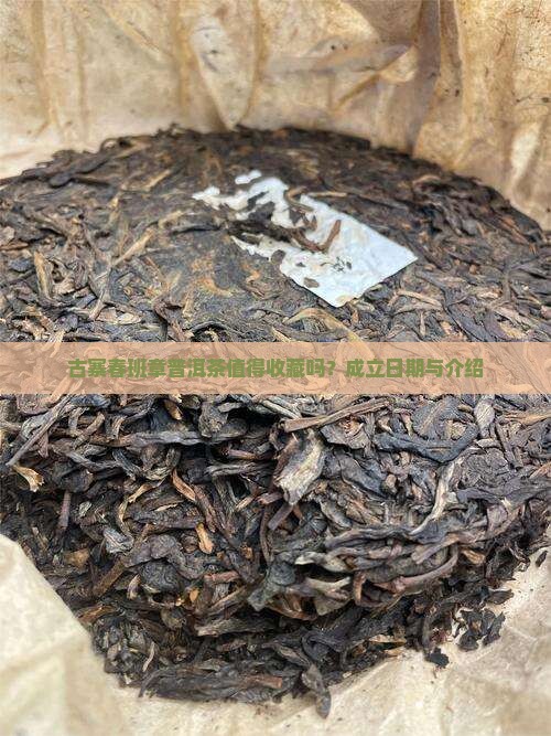 古寨春班章普洱茶值得收藏吗？成立日期与介绍