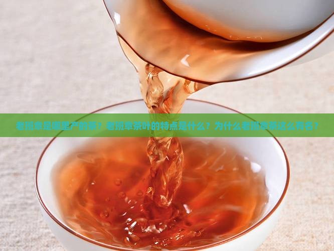 老班章是哪里产的茶？老班章茶叶的特点是什么？为什么老班章茶这么有名？