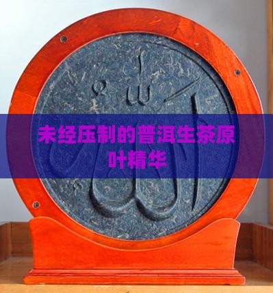 未经压制的普洱生茶原叶精华